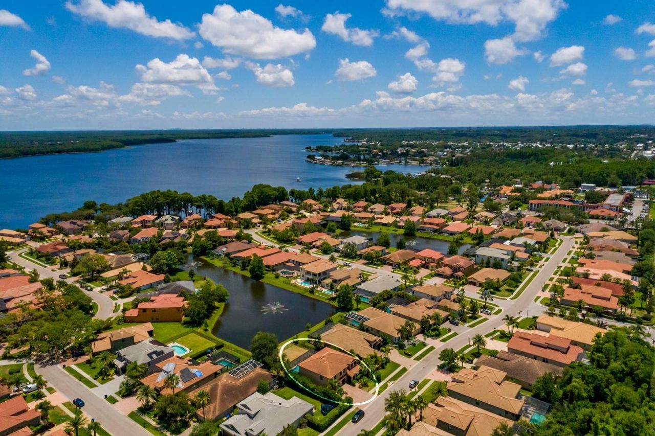4611 Grand Preserve Place, Palm Harbor, FL 34684 Photo