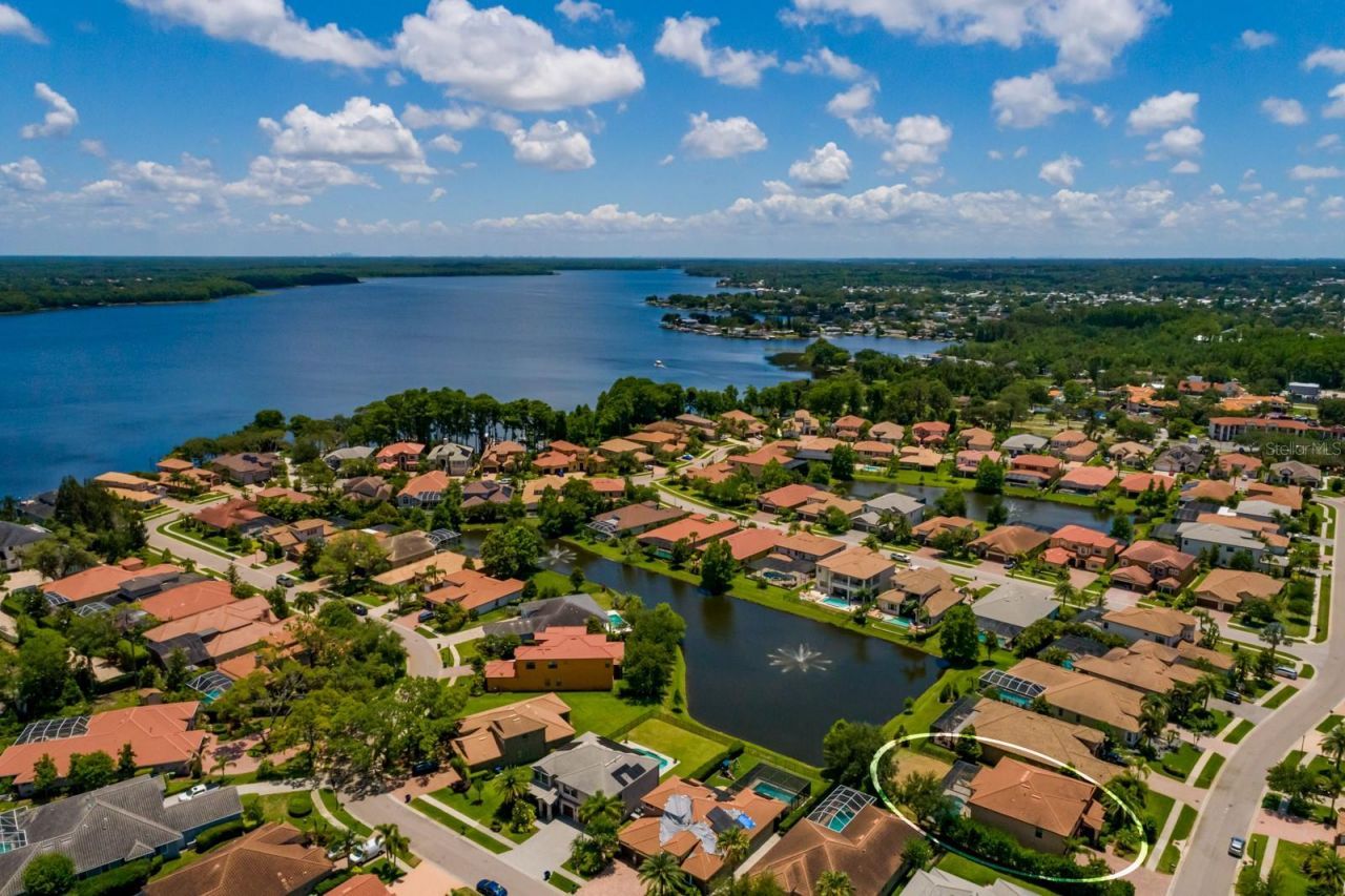 4611 Grand Preserve Place, Palm Harbor, FL 34684 Photo