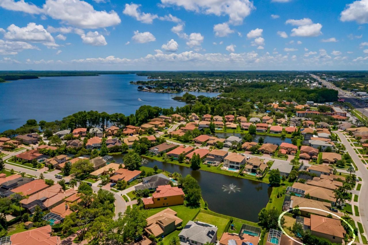 4611 Grand Preserve Place, Palm Harbor, FL 34684 Photo
