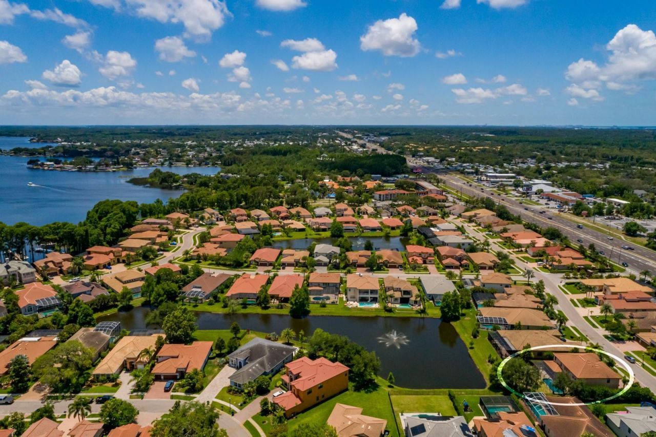 4611 Grand Preserve Place, Palm Harbor, FL 34684 Photo