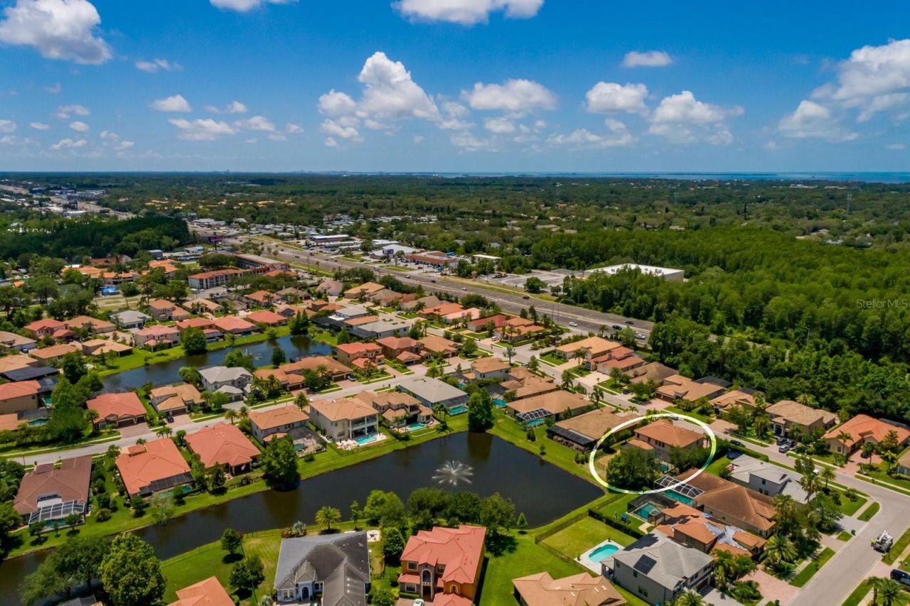 4611 Grand Preserve Place, Palm Harbor, FL 34684 Photo