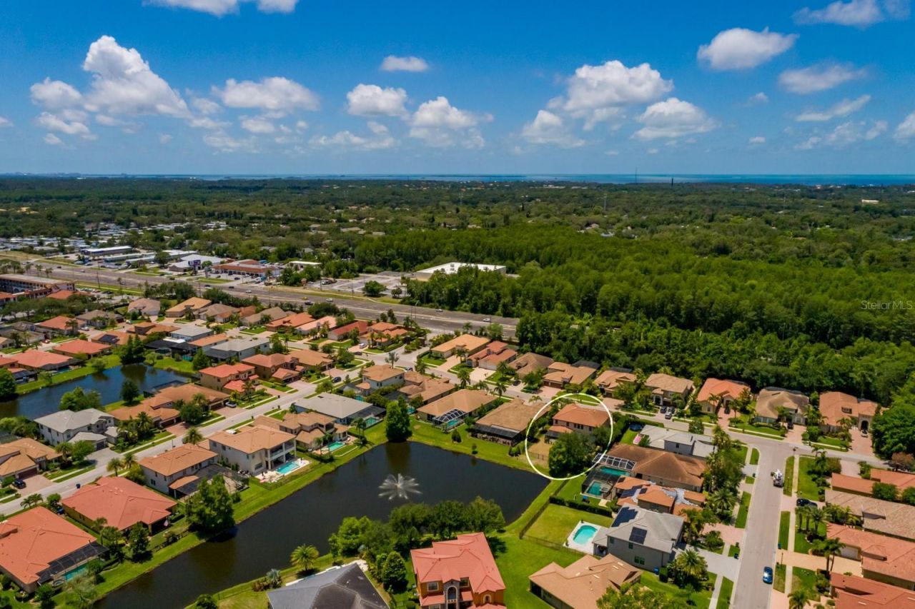 4611 Grand Preserve Place, Palm Harbor, FL 34684 Photo