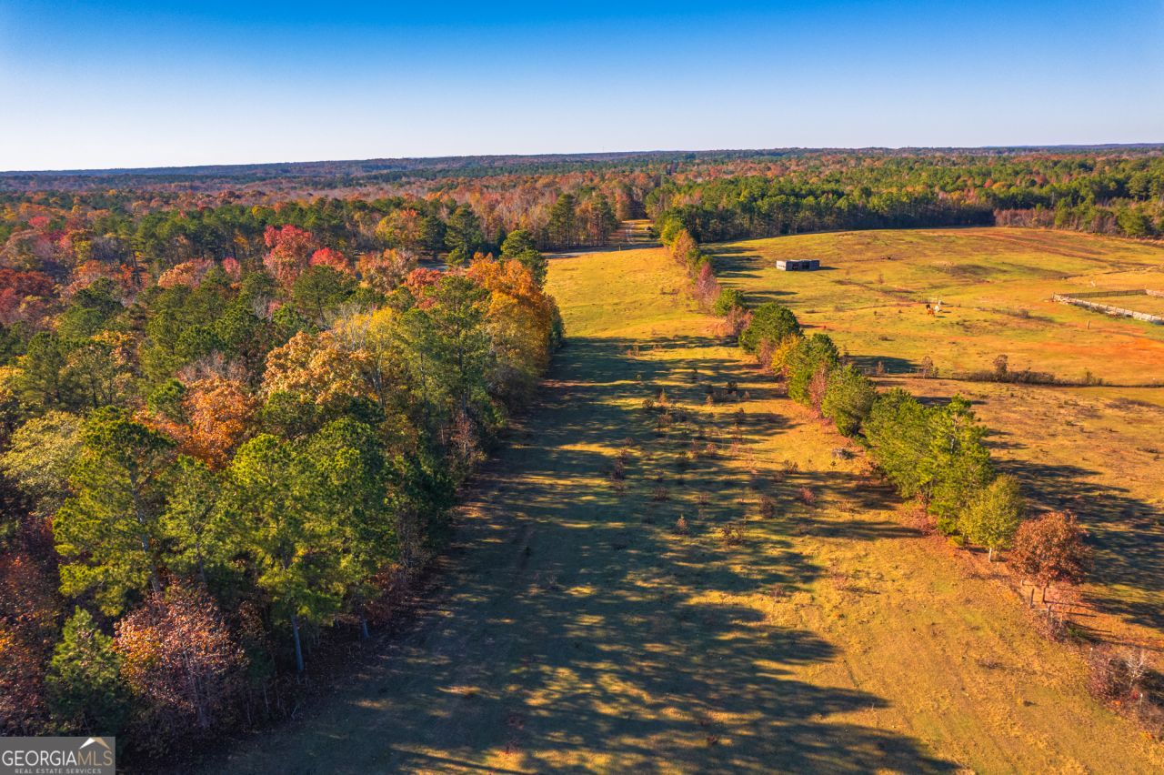 0 Pine Grove Church Road, Lot #LOT 2, Culloden, GA 31016 Main Photo