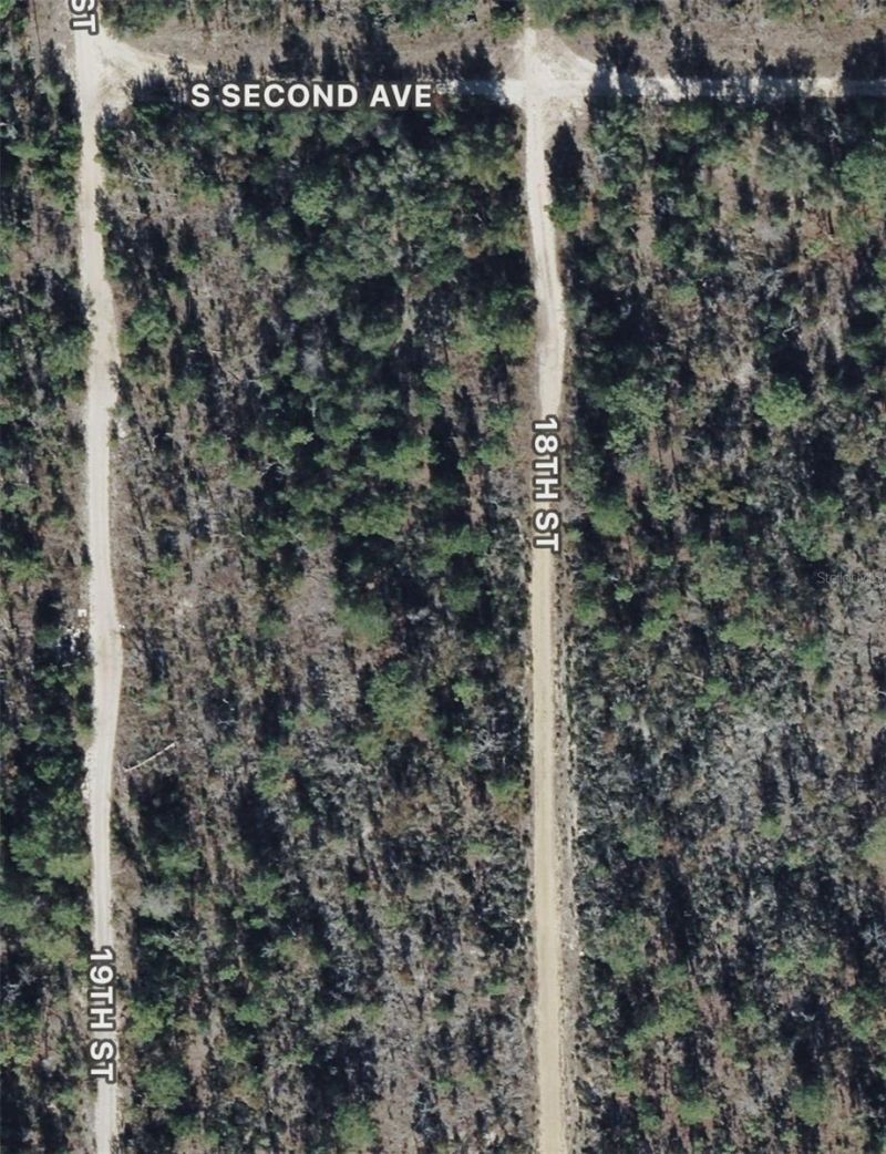 18th Street, Interlachen, FL 32148 Photo