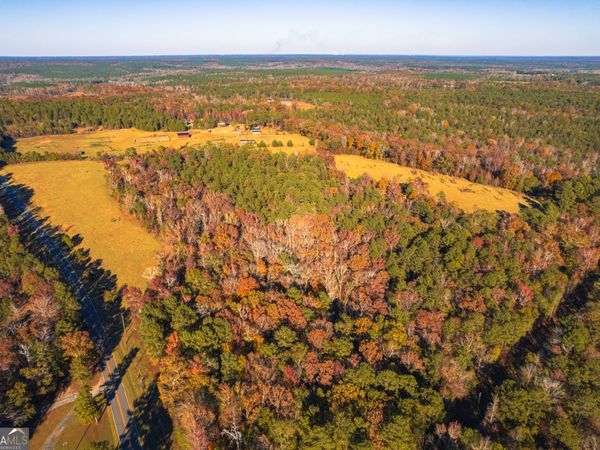 0 Pine Grove Church Road, Unit LOT 1, Culloden, GA 31016