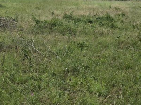 1721 Short Street, Waco, TX 76704