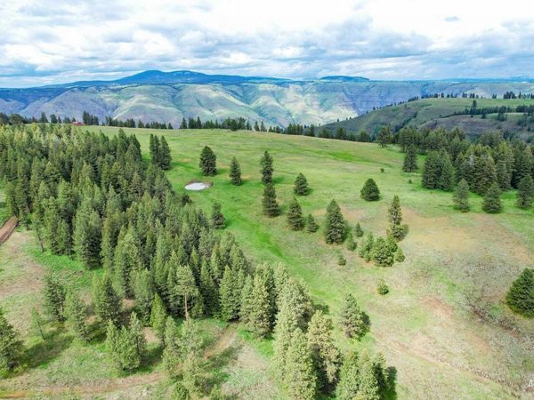 205 Burnt Creek Road, CottonWood, ID 83522