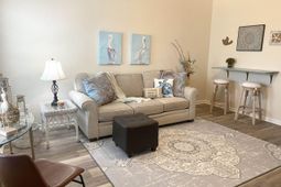 739 Shell Creek Circle photo 4