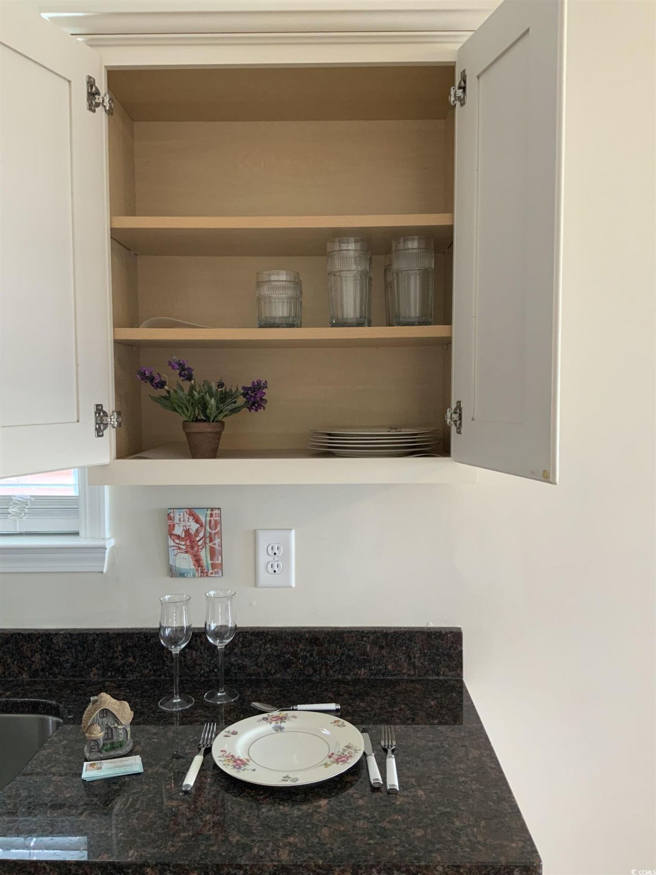 739 Shell Creek Circle Photo 9