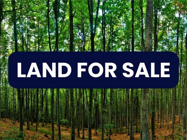 0 Shannon Hill Road, Goochland, VA 23038