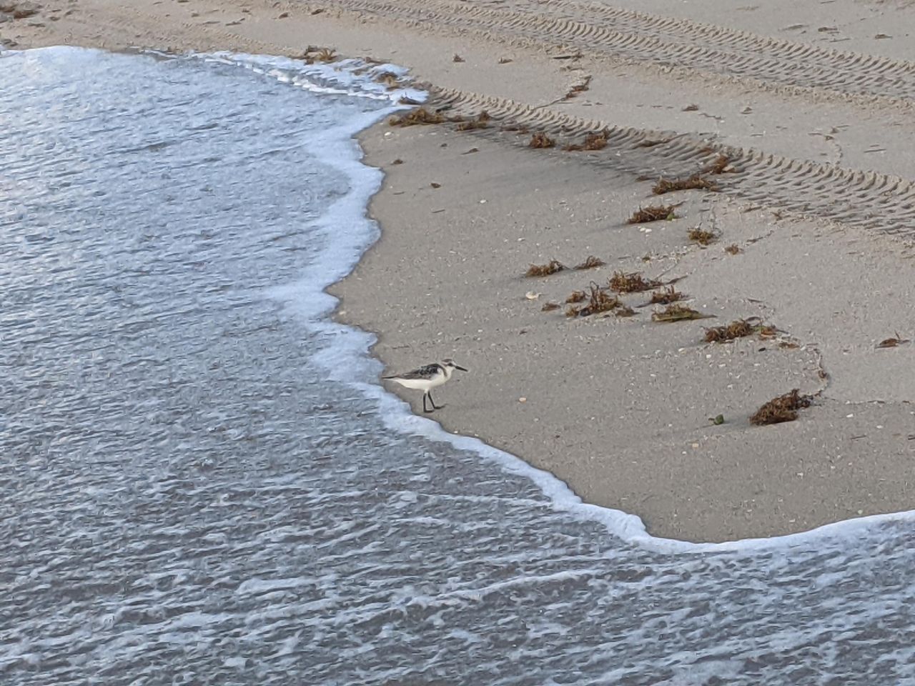 2840 S Ocean Boulevard, Unit 6110, Palm Beach, FL 33480 Photo