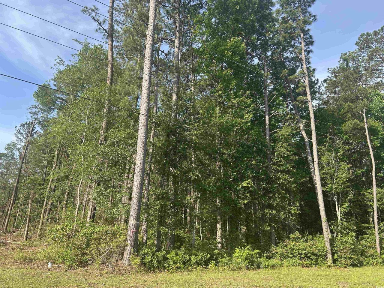 Tbd Roscoe Rd. Photo 2