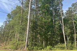 Tbd Roscoe Rd. photo 4