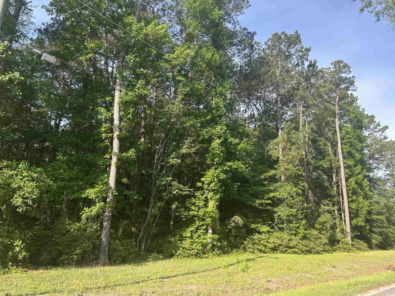 Tbd Roscoe Rd. Photo 3