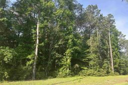 Tbd Roscoe Rd. photo 4