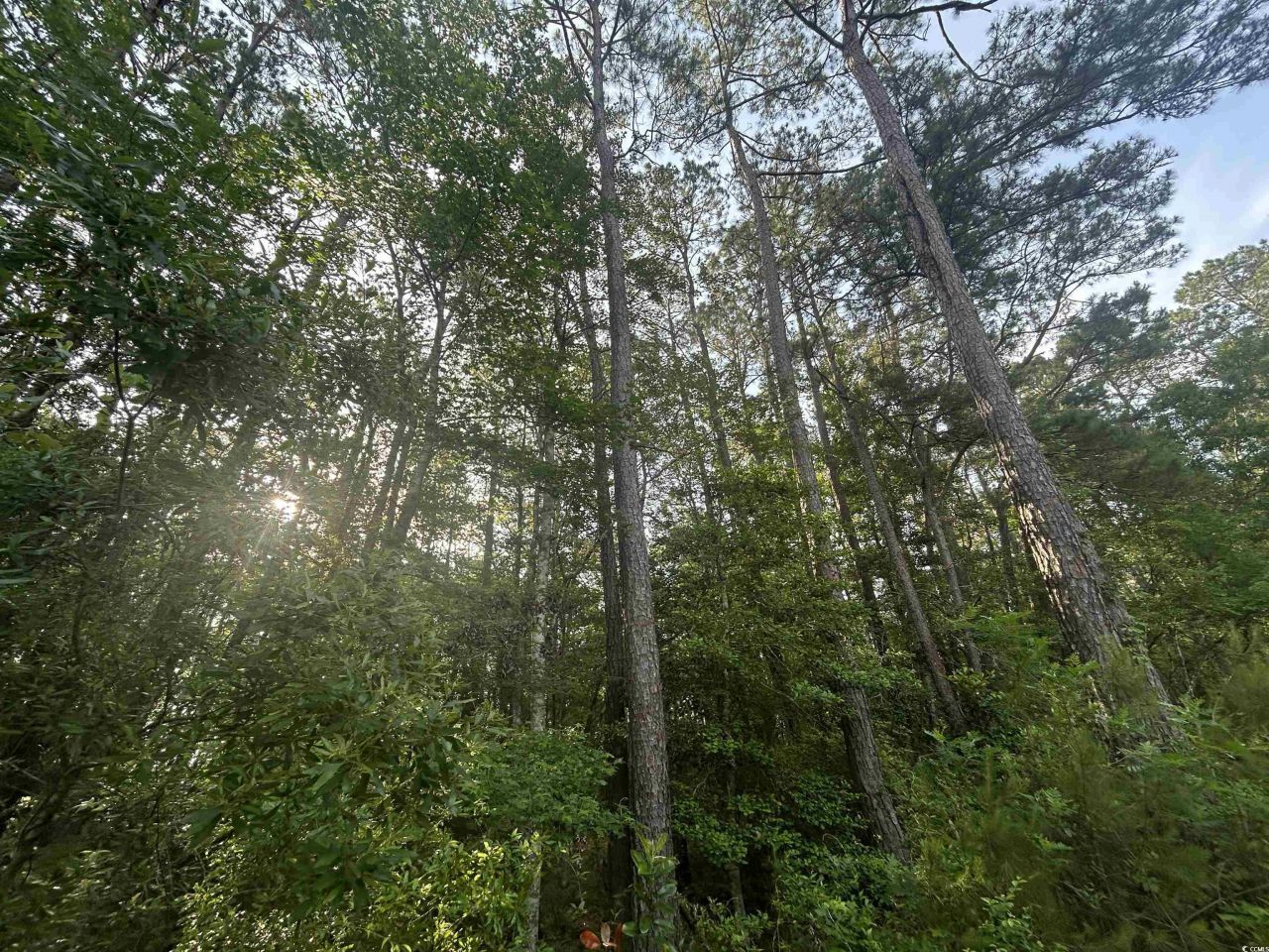 Tbd Roscoe Rd. Photo 4