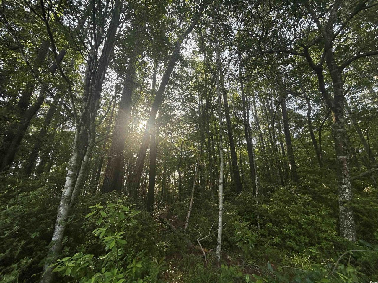 Tbd Roscoe Rd. Photo 5