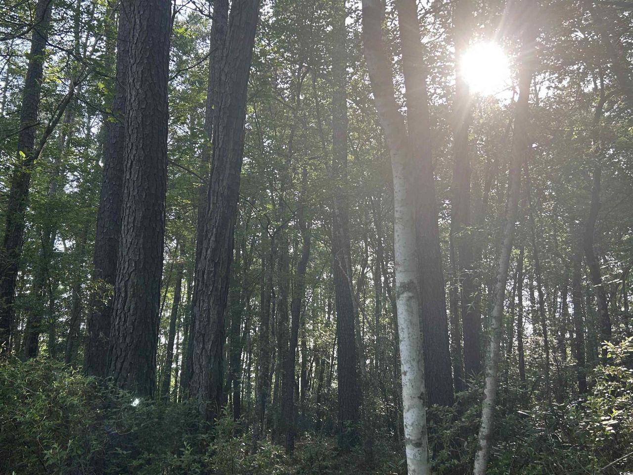 Tbd Roscoe Rd. Photo 6