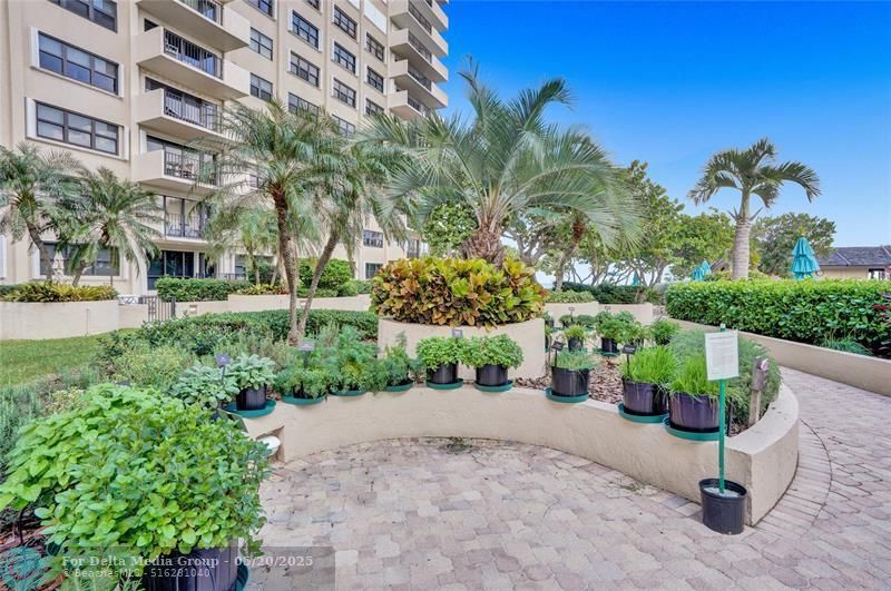 5100 N Ocean Boulevard, Unit 1116, Lauderdale by the Sea, FL 33308 Photo