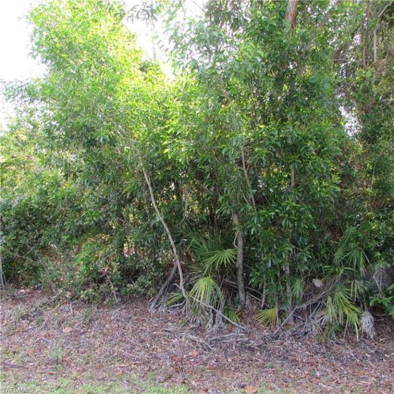 12348 Dolphin Rd, Bokeelia, FL 33922 Photo