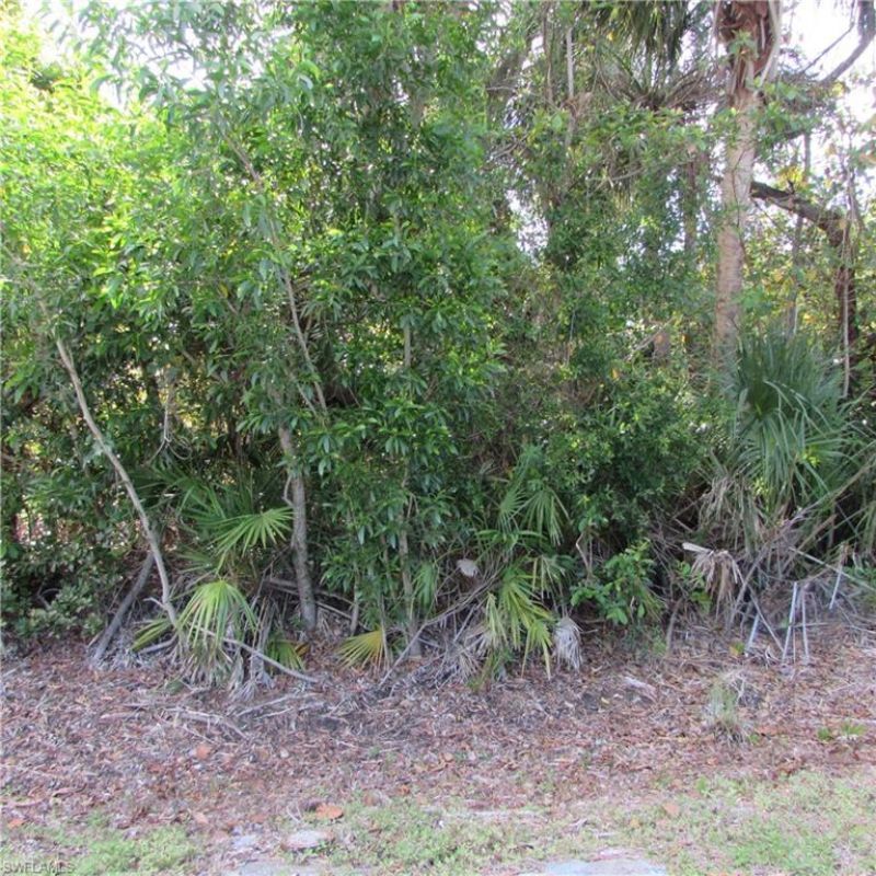 12348 Dolphin Rd, Bokeelia, FL 33922 Photo