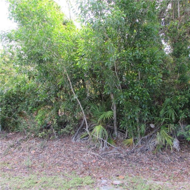 12348 Dolphin Rd, Bokeelia, FL 33922 Photo