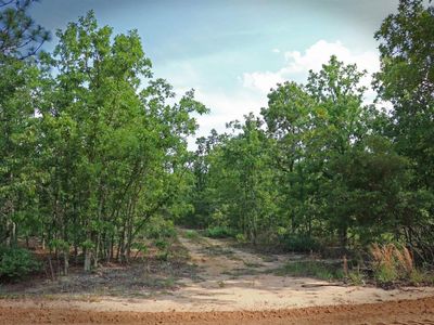 TBD Webbs Pond, Williston, SC 29853