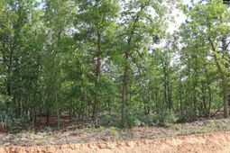 Tbd Webbs Pond photo 4