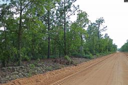 Tbd Webbs Pond photo 4