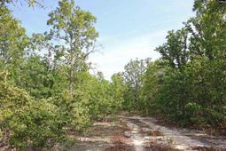 Tbd Webbs Pond photo 4