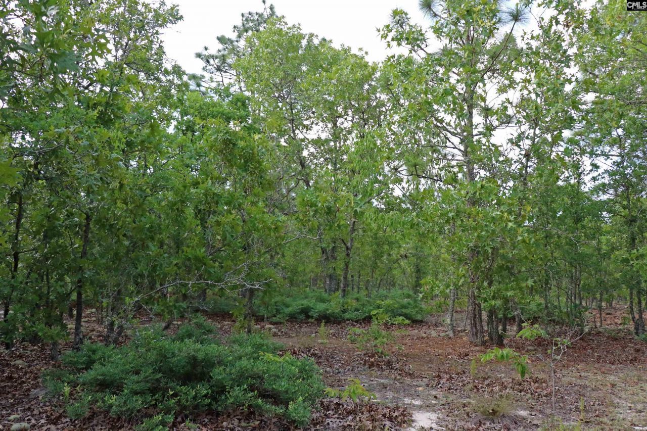 Tbd Webbs Pond Photo 6