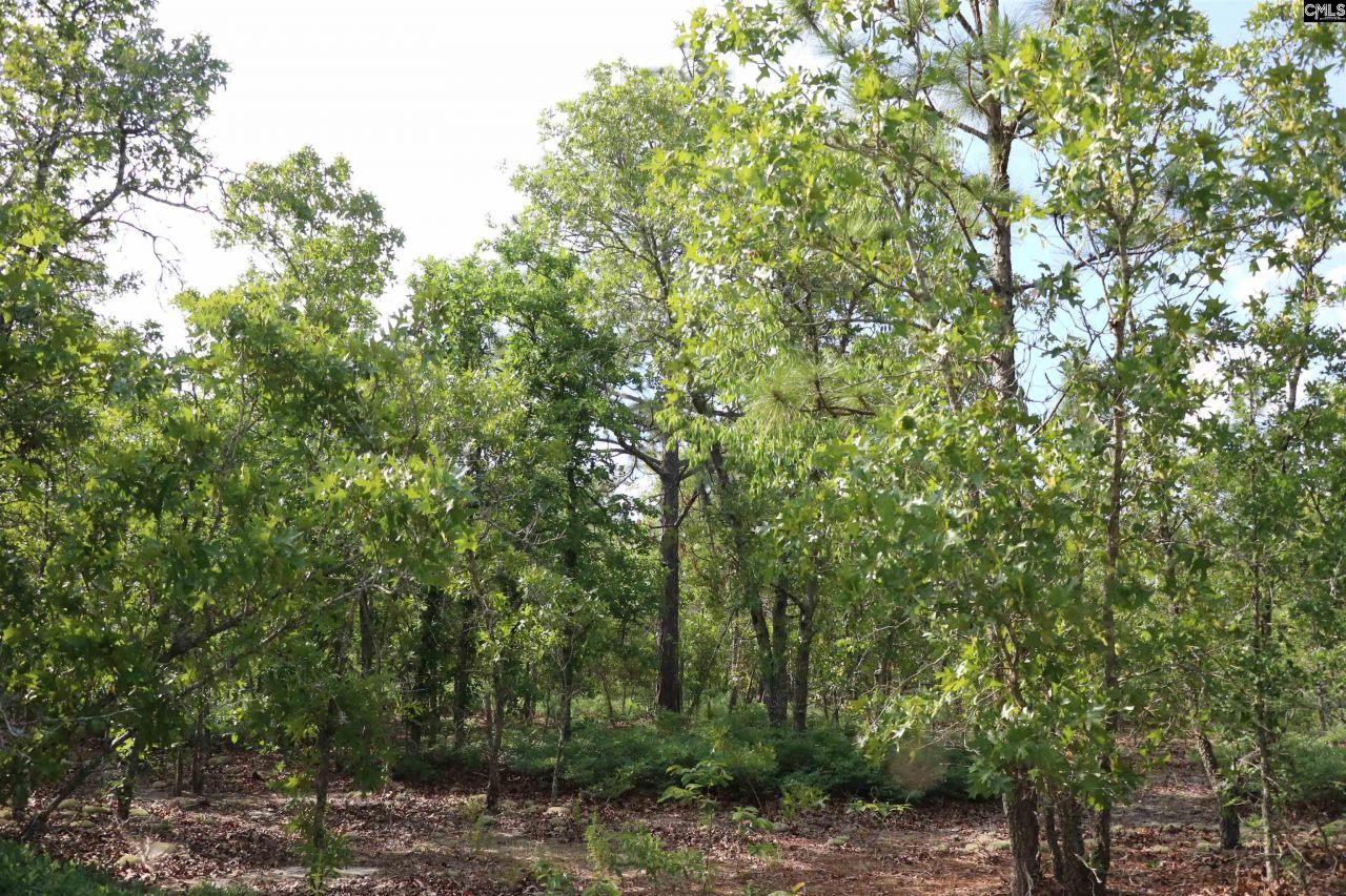 Tbd Webbs Pond Photo 7