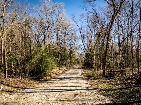 TBD County Road 47, Tyler, TX 75704