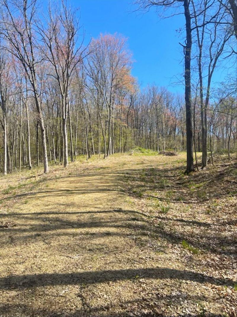 Lot's 4,5 & 6 Anderson Hill Lane, Boyceville, WI 54725