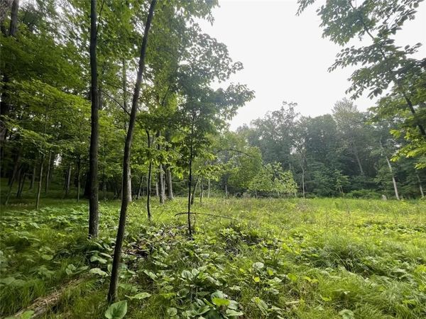Lot's 4,5 & 6 Anderson Hill Lane, Boyceville, WI 54725