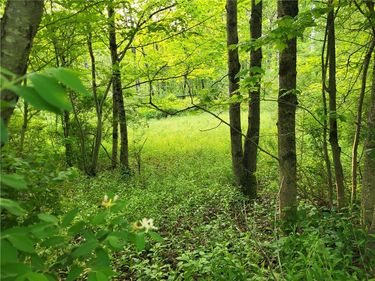 Lot 14.1 Joe Road, South Otselic, NY 13155