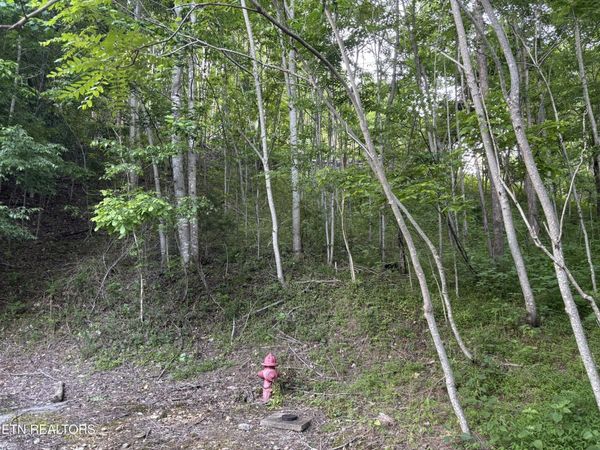 0 Waterwalk Court, Smithville, TN 37166