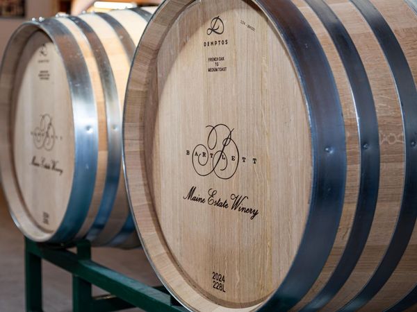 175 Chicken Mill Pond Road, Gouldsboro, ME 04607