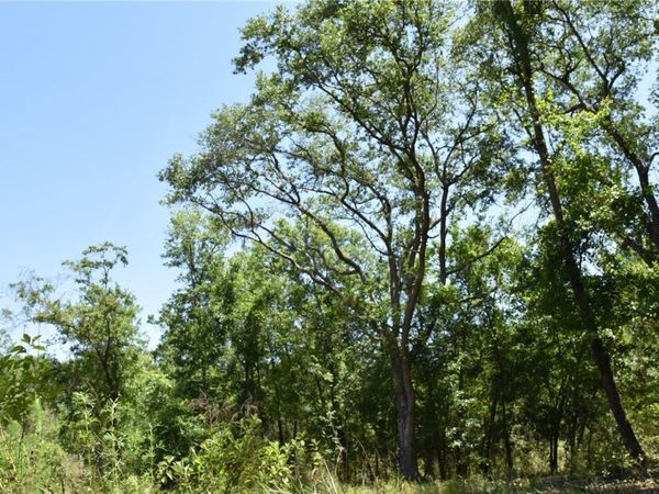 21312 NE 69TH PLACE, MELROSE, FL 32666