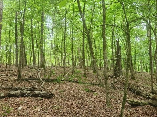 TBD Overcrest Dr, Sims, AR 71969