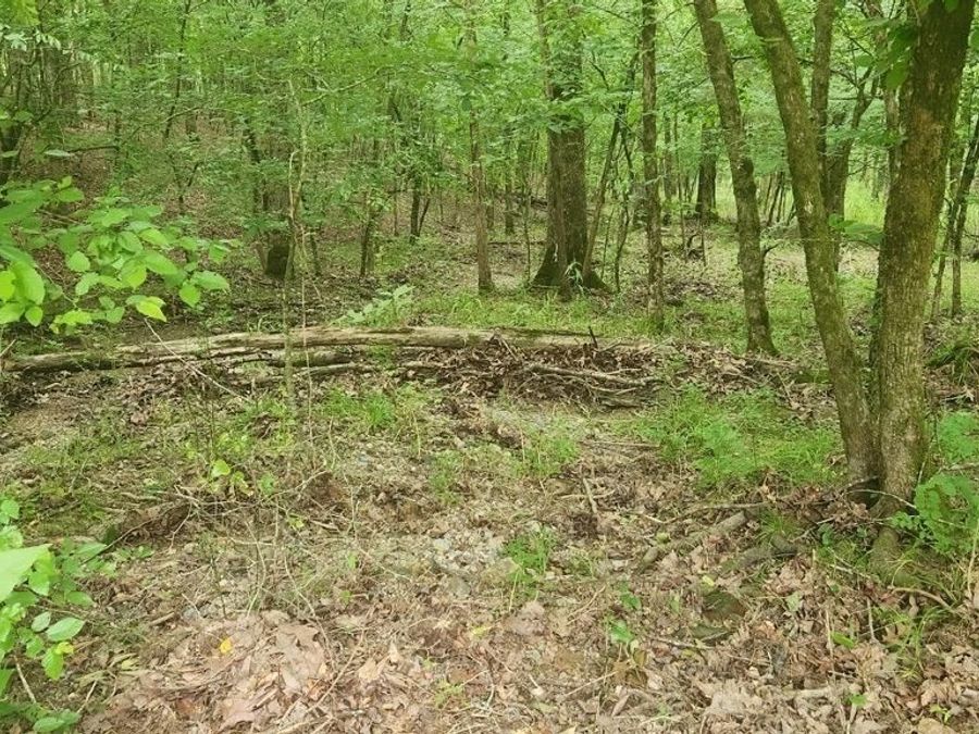 Property Image 6