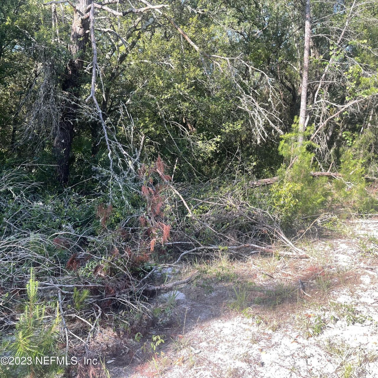 117 Waites Drive, Florahome, FL 32140 Photo