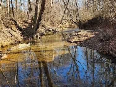 0 Cameron Lane, Nathalie, VA 24577