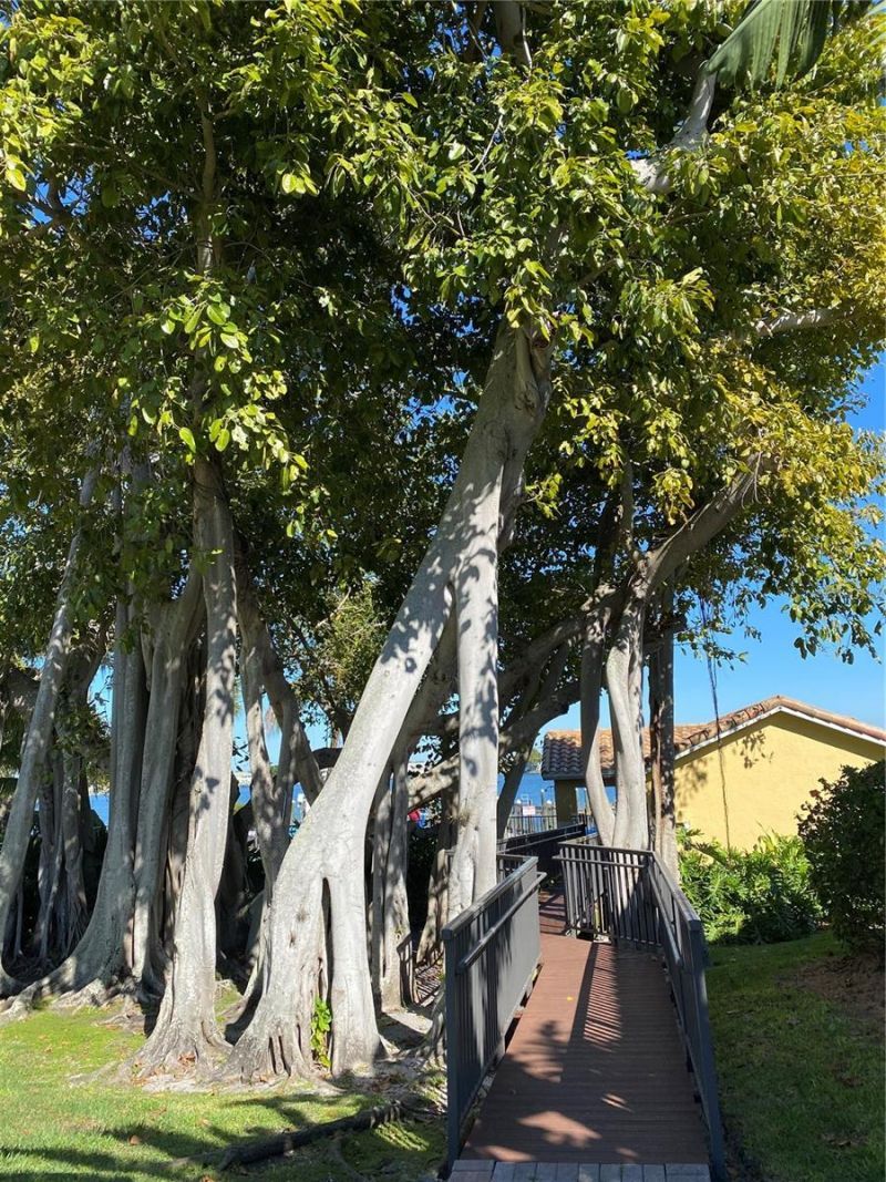 184 Banyan Bay Drive, Saint Petersburg, FL 33705 Photo