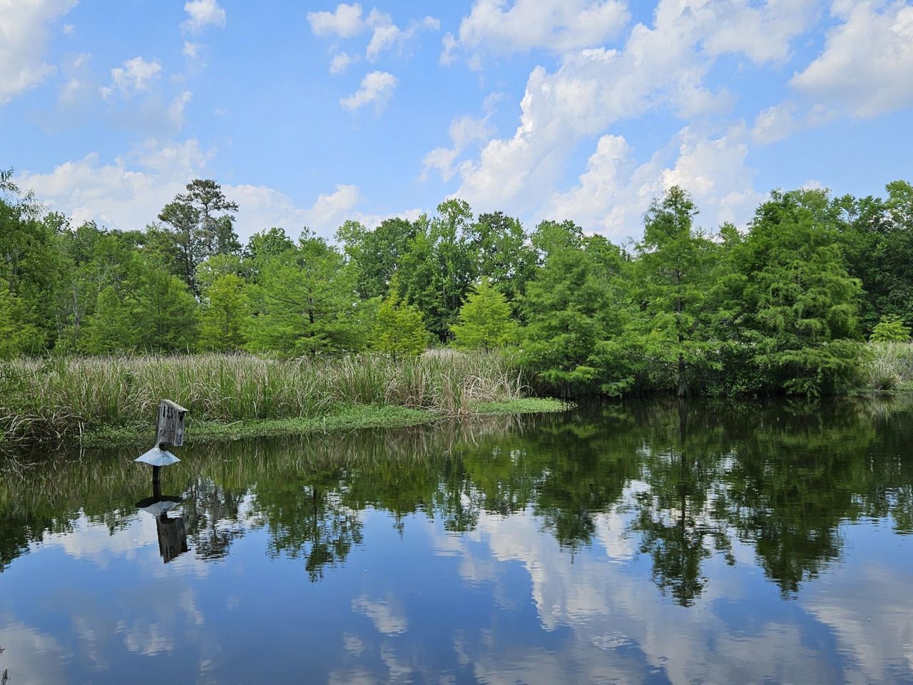 141 Woodlake Drive Photo 10