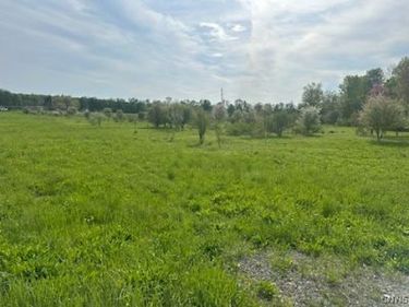 9124 turin rd, Lee Center, NY 13440