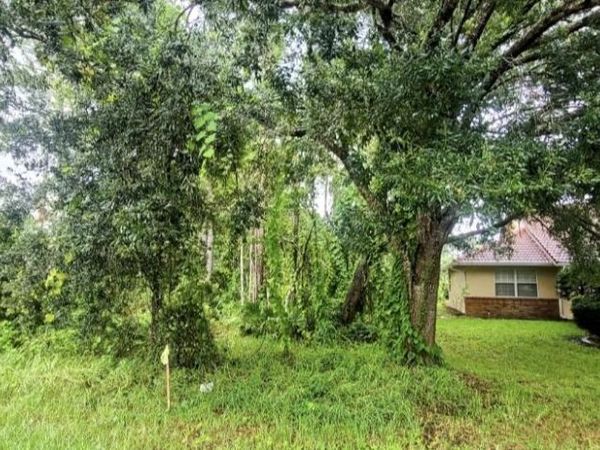 112 Ryberry Drive, Palm Coast, FL 32164