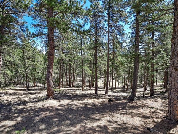 860 Spring Valley Drive, Divide, CO 80814