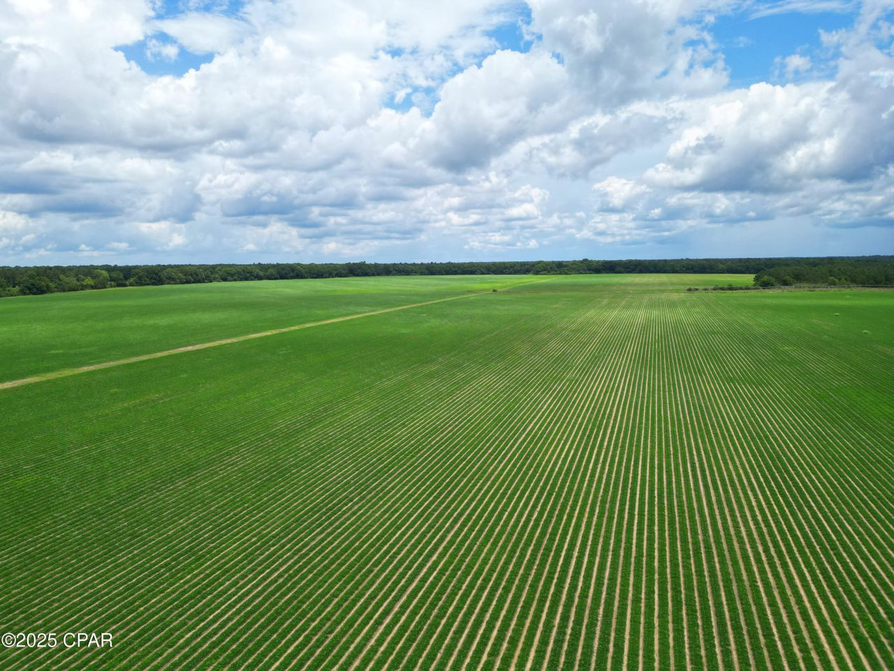 00 Blue Star Highway, Quincy, FL 32351 Main Photo