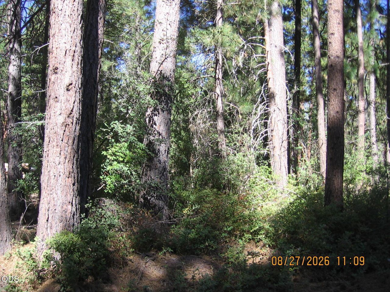 E. Street, Lot #23, Klamath Falls, OR 97601 Main Photo